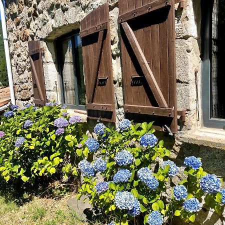 Gite Des Sausses Dans Une Nature Preservee Burzet Bagian luar foto