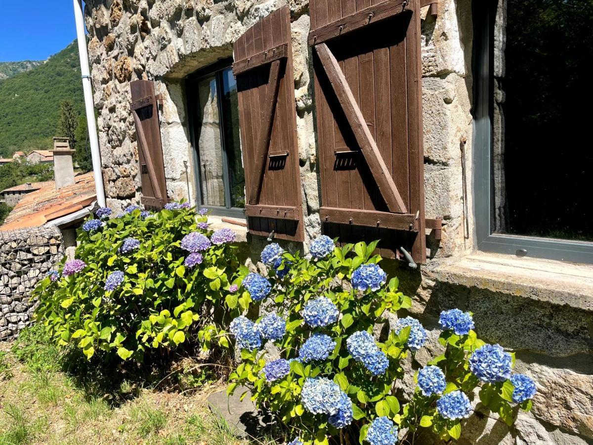 Gite Des Sausses Dans Une Nature Preservee Burzet Bagian luar foto