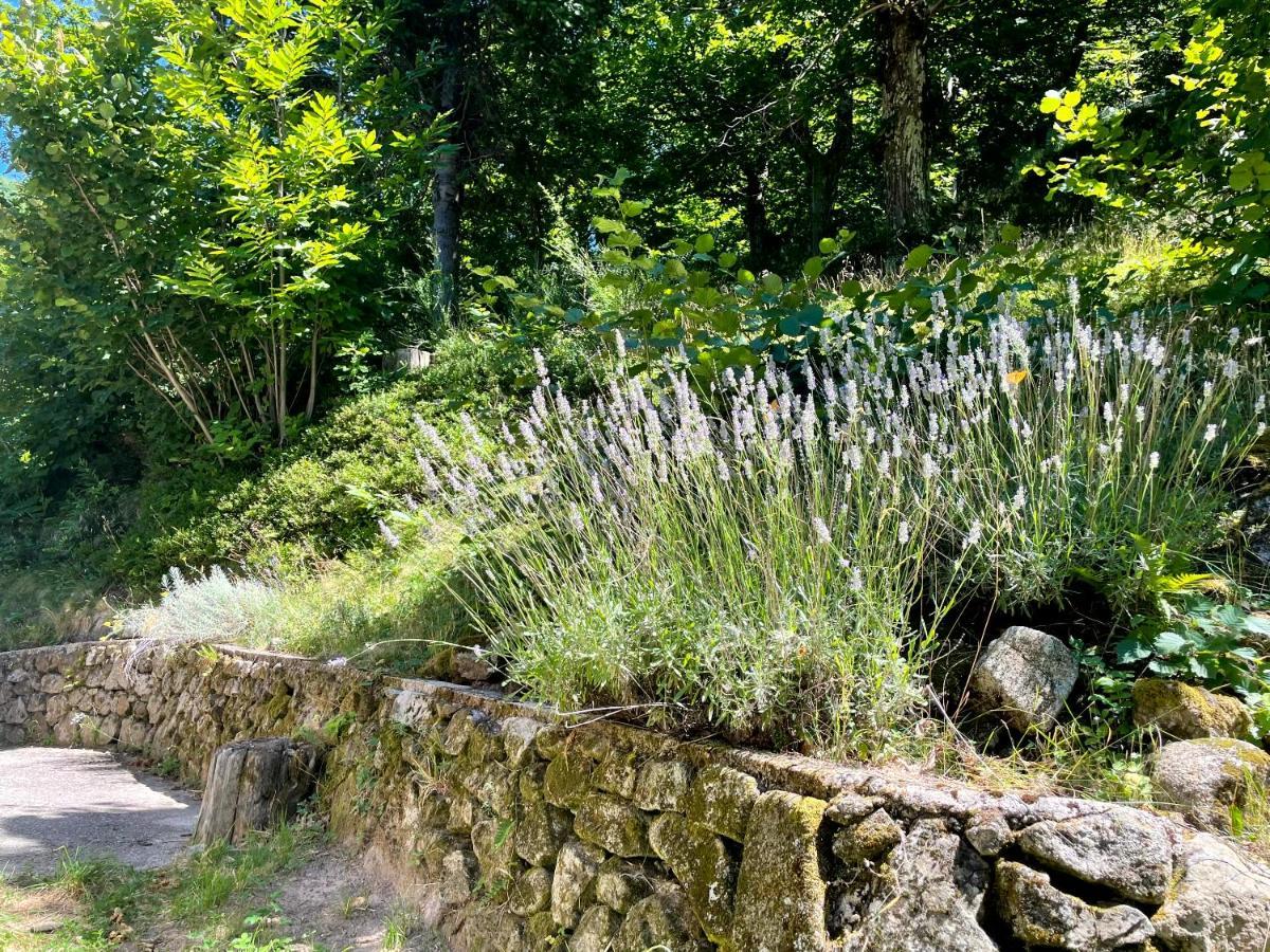Gite Des Sausses Dans Une Nature Preservee Burzet Bagian luar foto