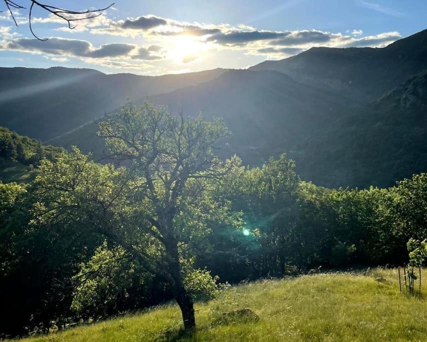 Gite Des Sausses Dans Une Nature Preservee Burzet Bagian luar foto