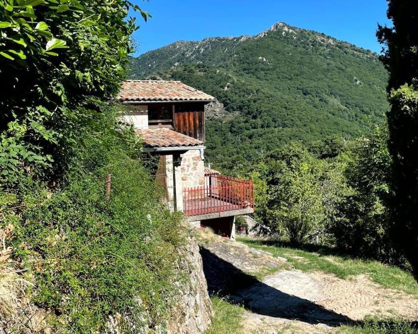 Gite Des Sausses Dans Une Nature Preservee Burzet Bagian luar foto